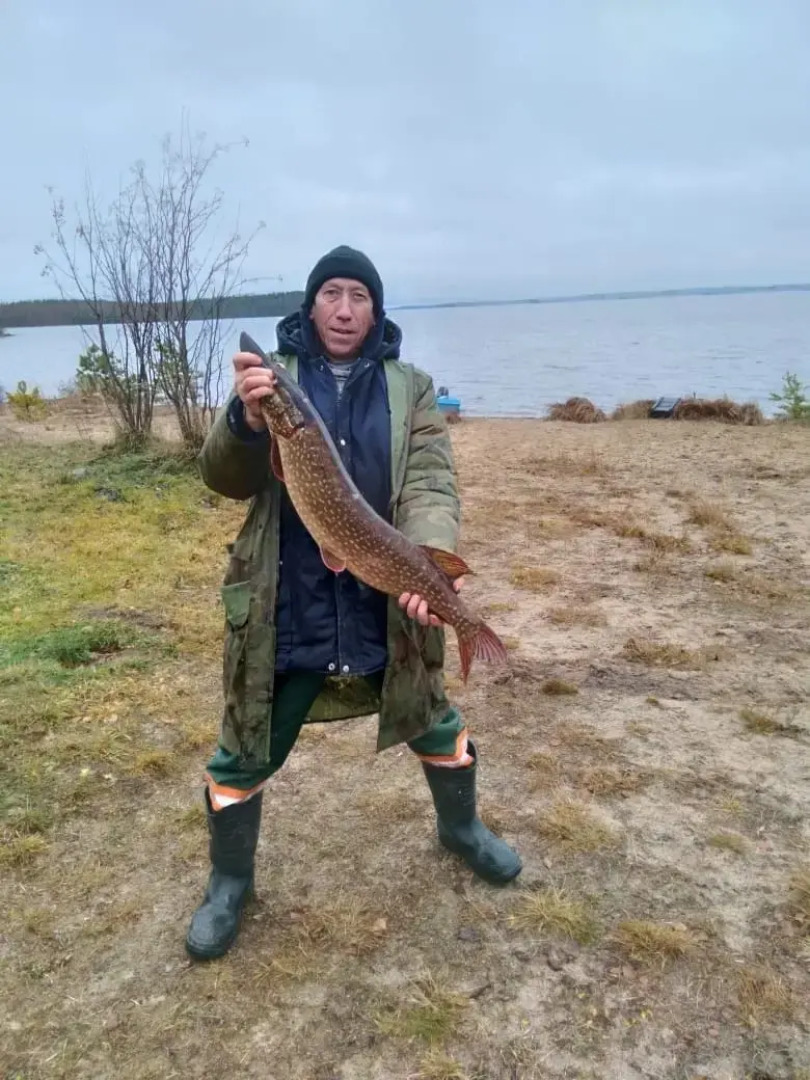 Частный дом Дом в Карелии Идиллия