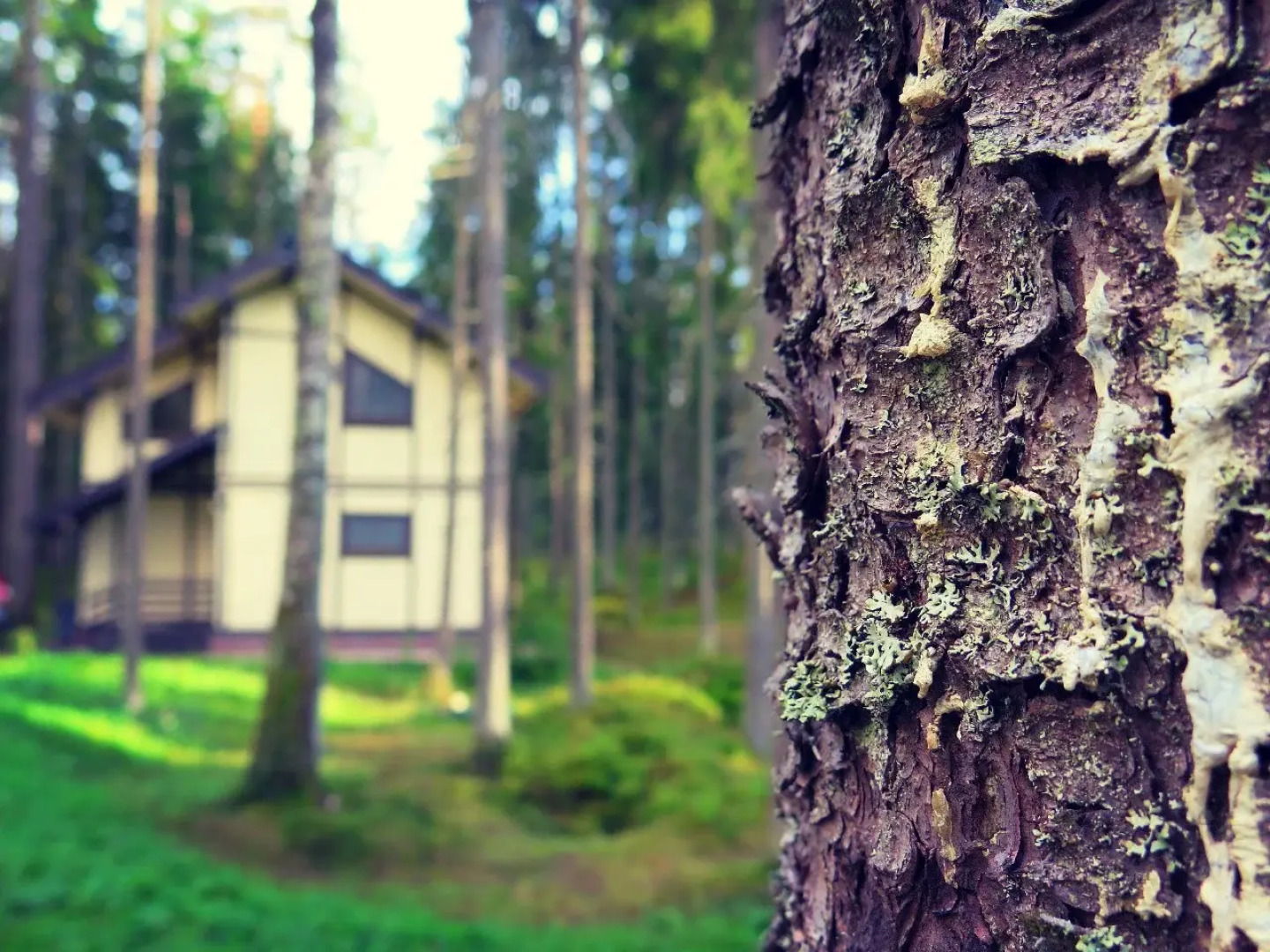 База Отдыха Ильичево