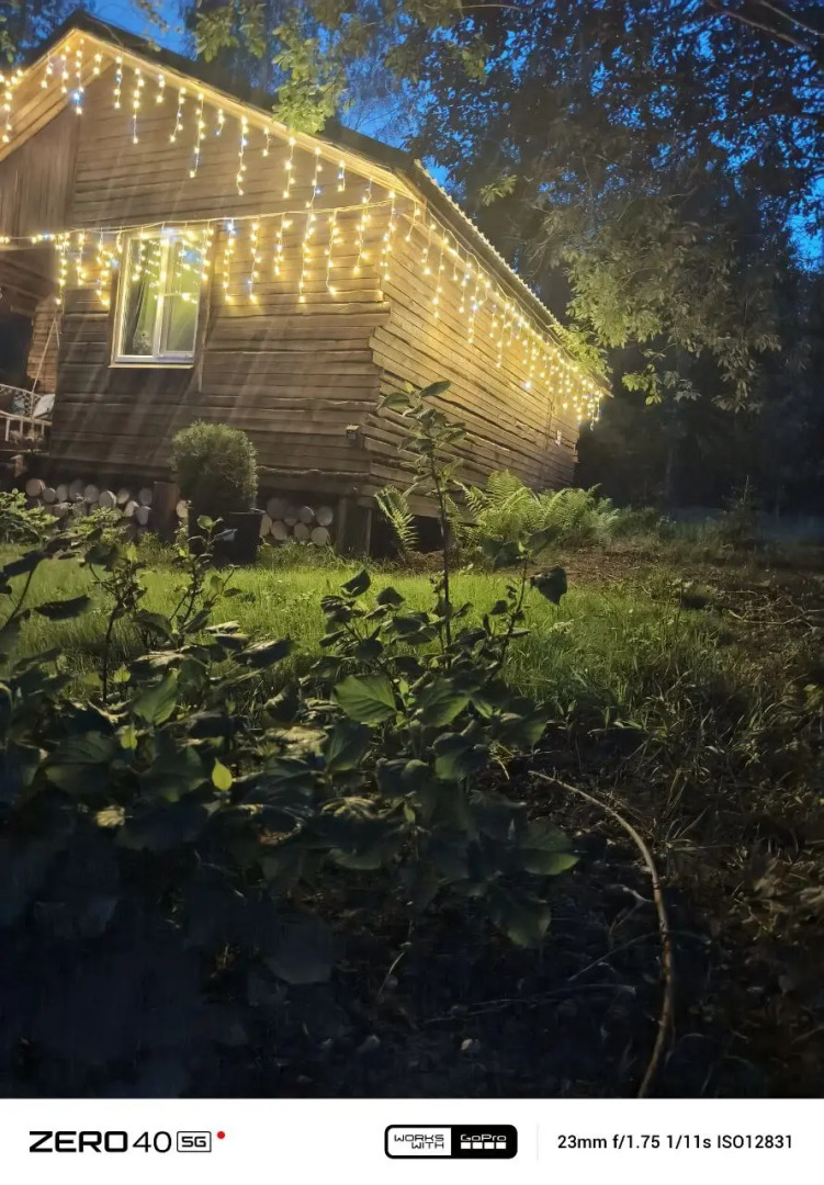 Частный дом в лесу у реки