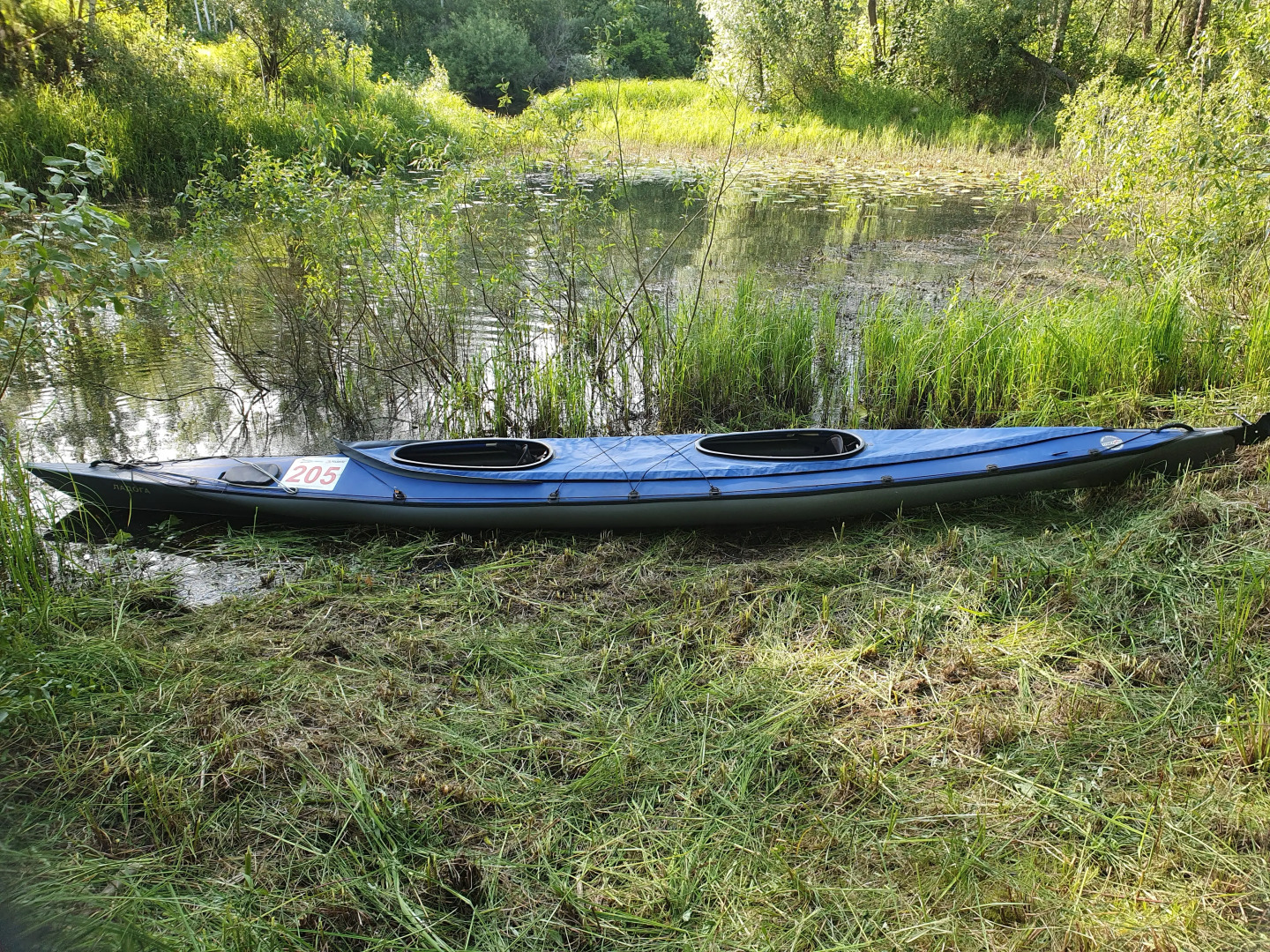 База отдыха Зеленый луг