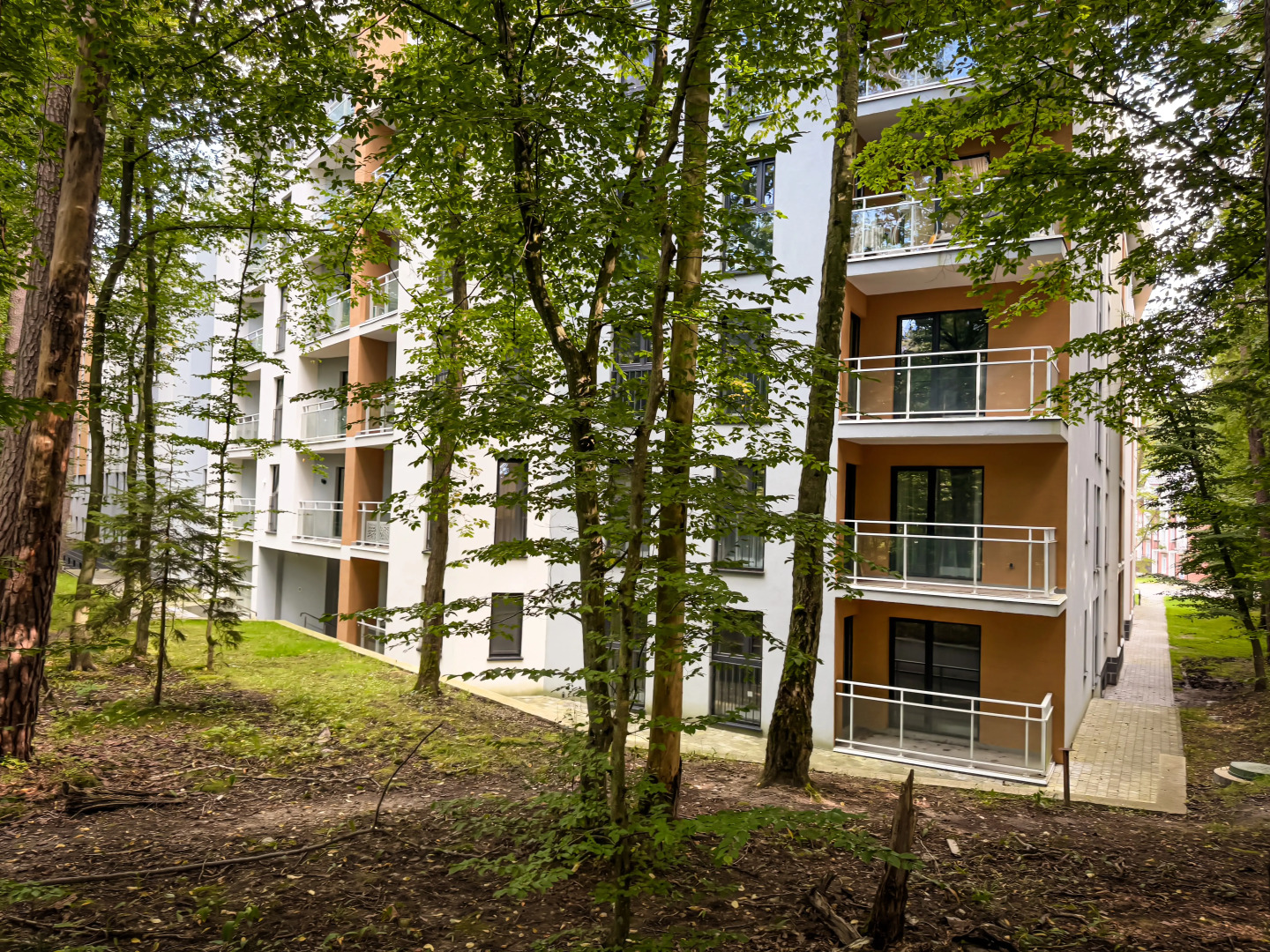 Апартаменты комфорт класса с видом на лес