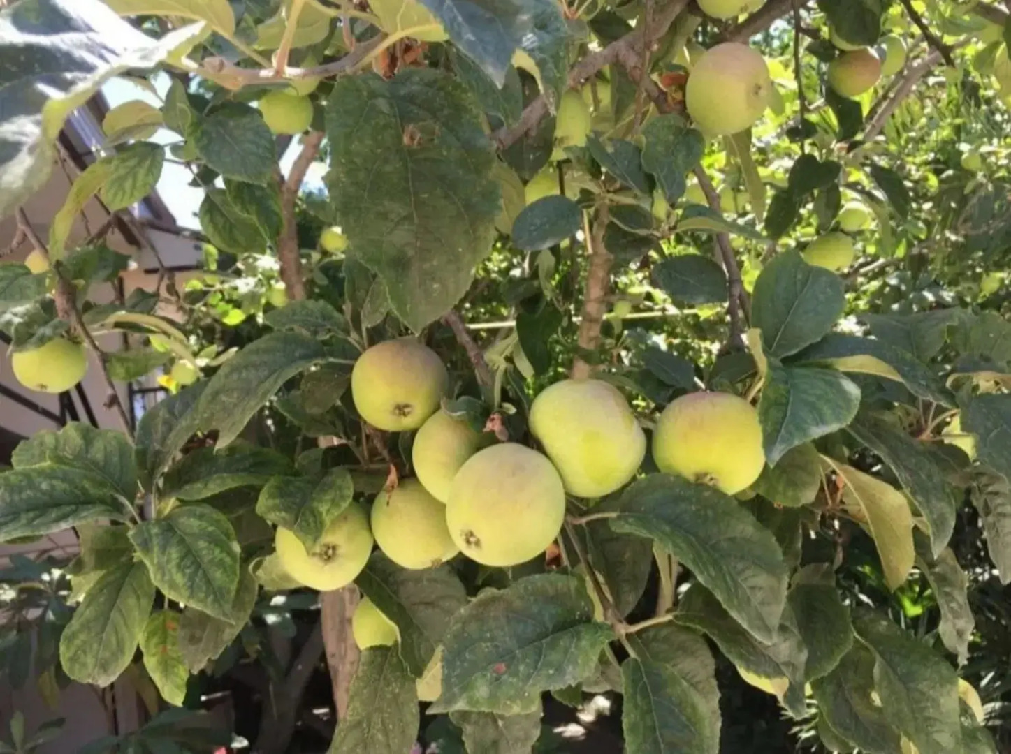 Гостевой дом Мотив у моря