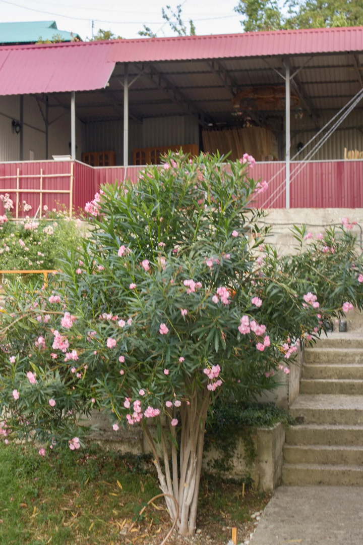 Гостевой дом София