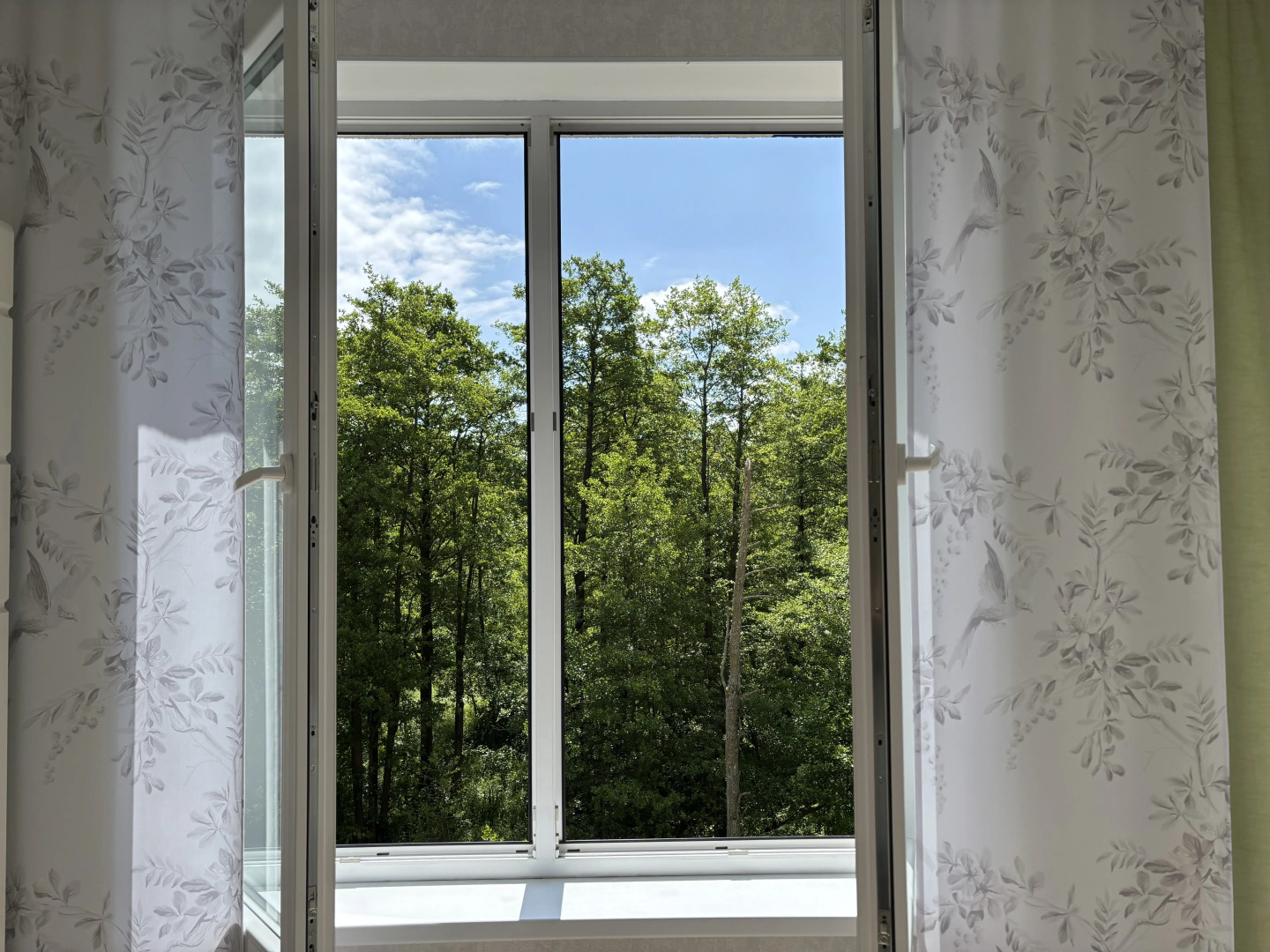 Квартира с видом на лес и пением птиц