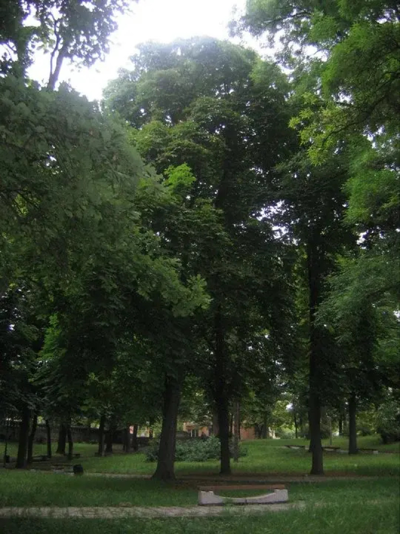 Отель Чинар