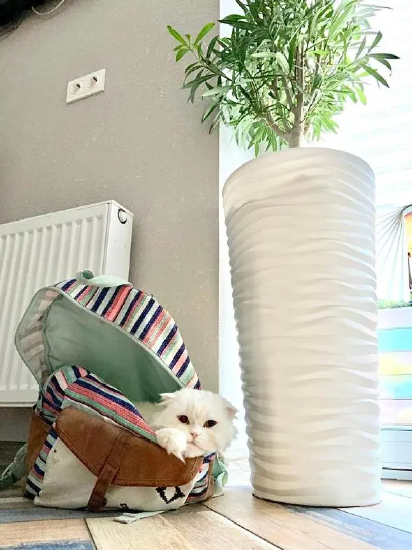 Гостевой дом Жданова 11М