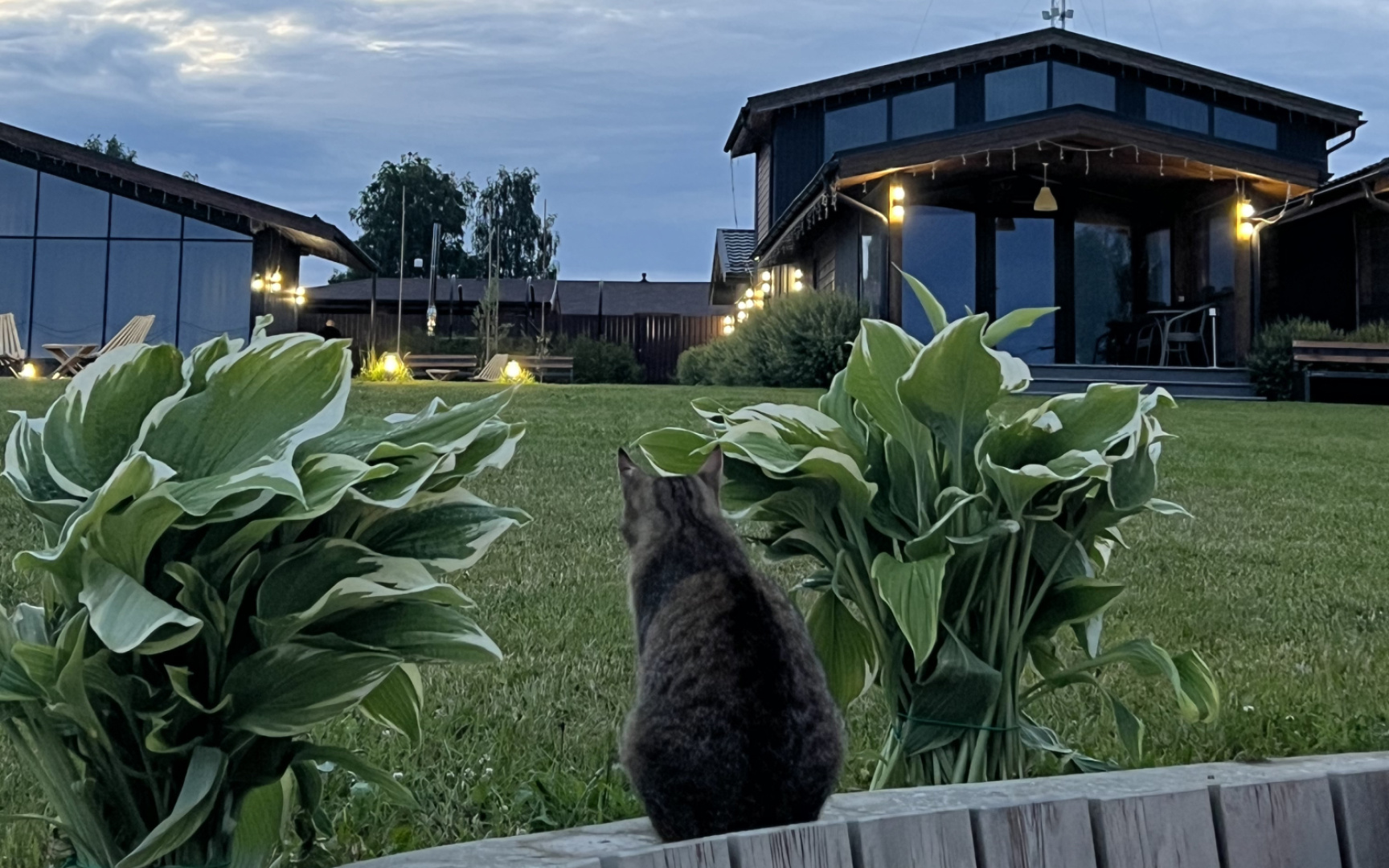 База отдыха Villa Iva