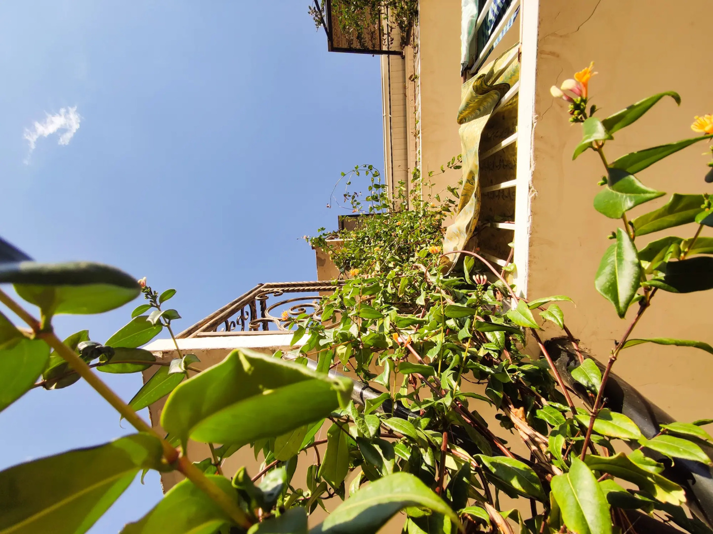 Гостевой дом Адилет