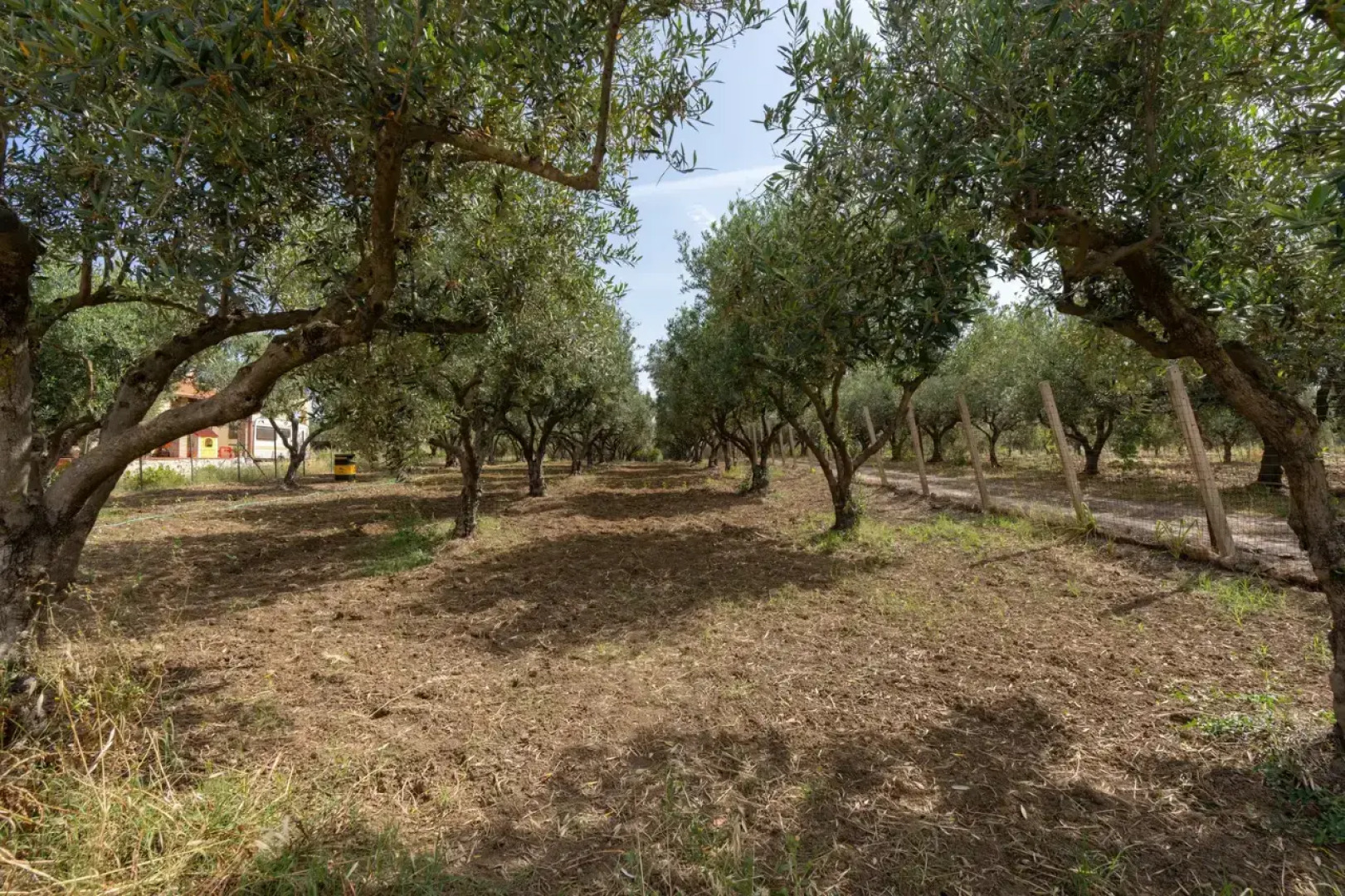 Вилла Davide Orlando