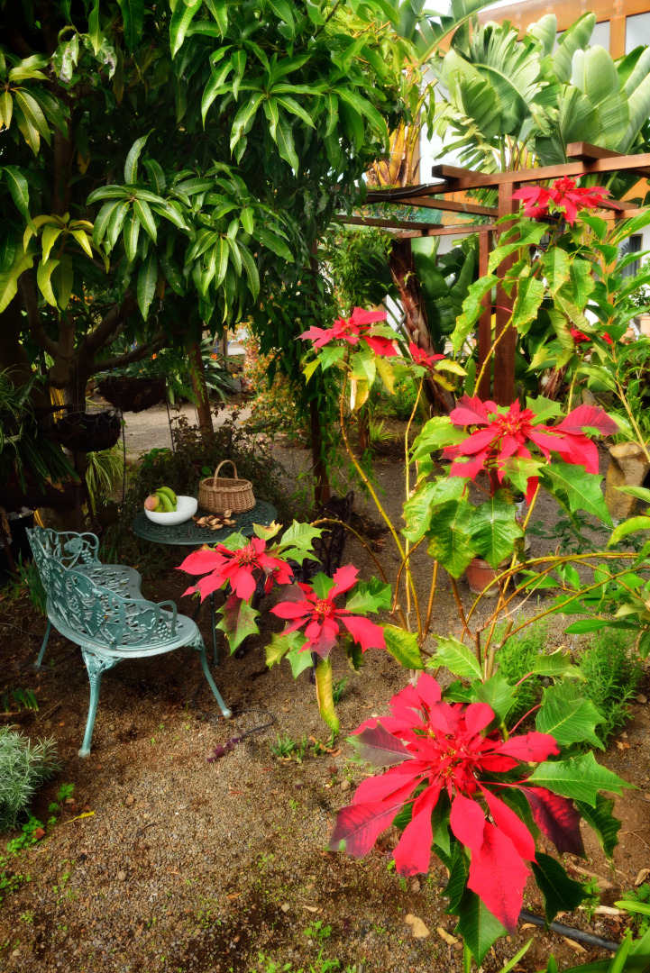 Adjovimar Apartments