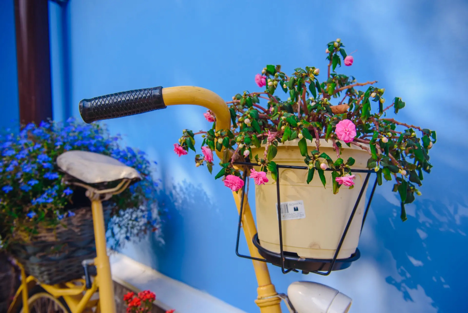 Отель Парк Отель