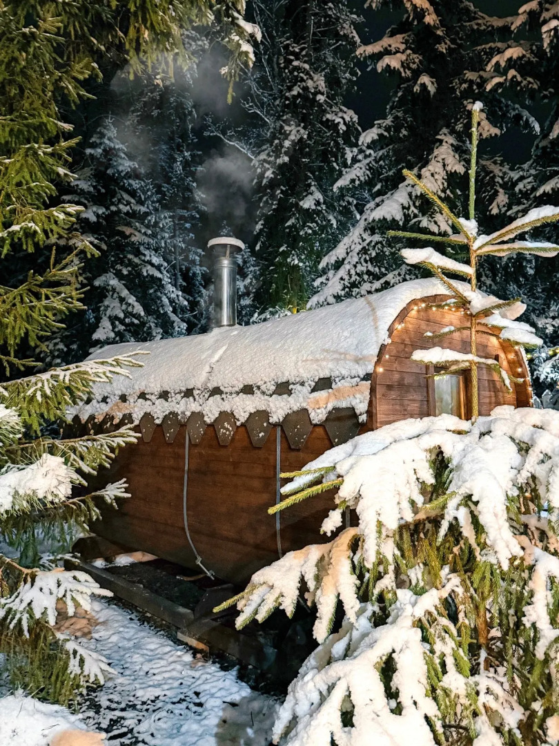 Коттедж Тристан в 15 минутах от Санкт-Петербурга