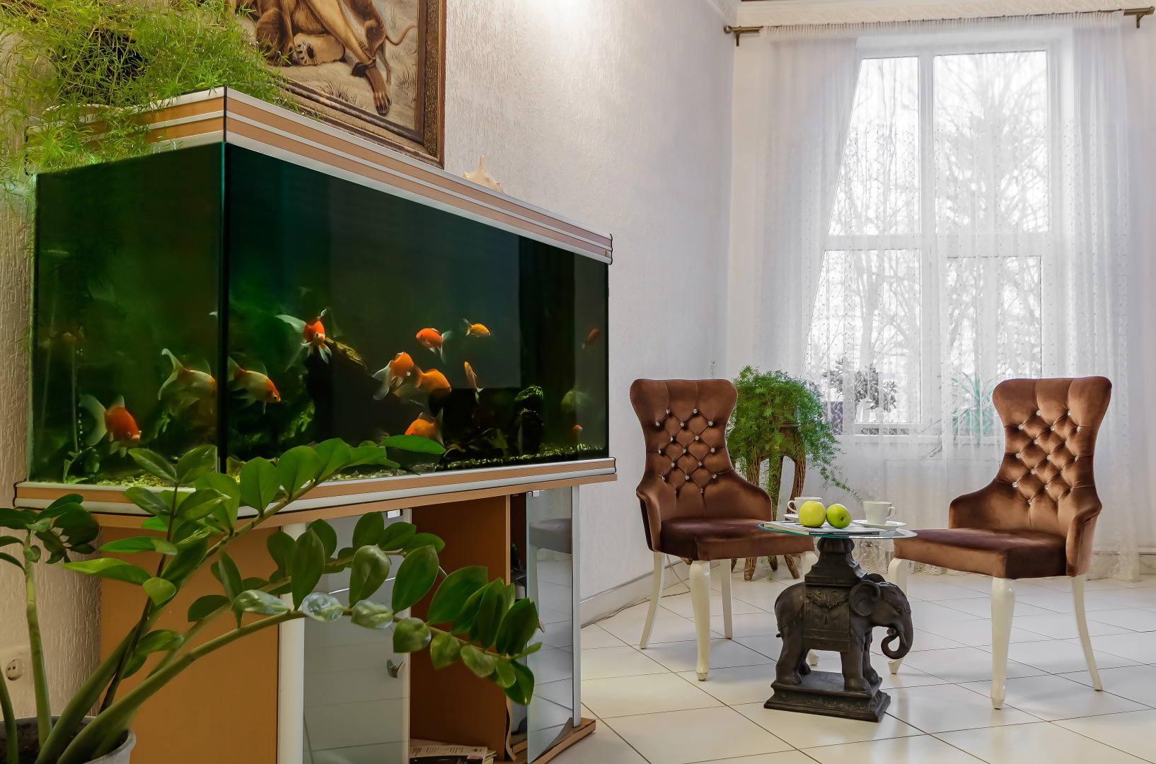 Меблированные комнаты Alexandria