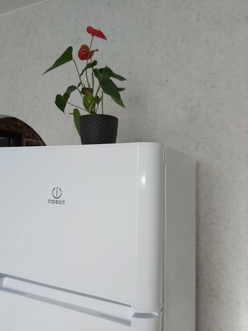 Апартаменты №1 на Владимирской