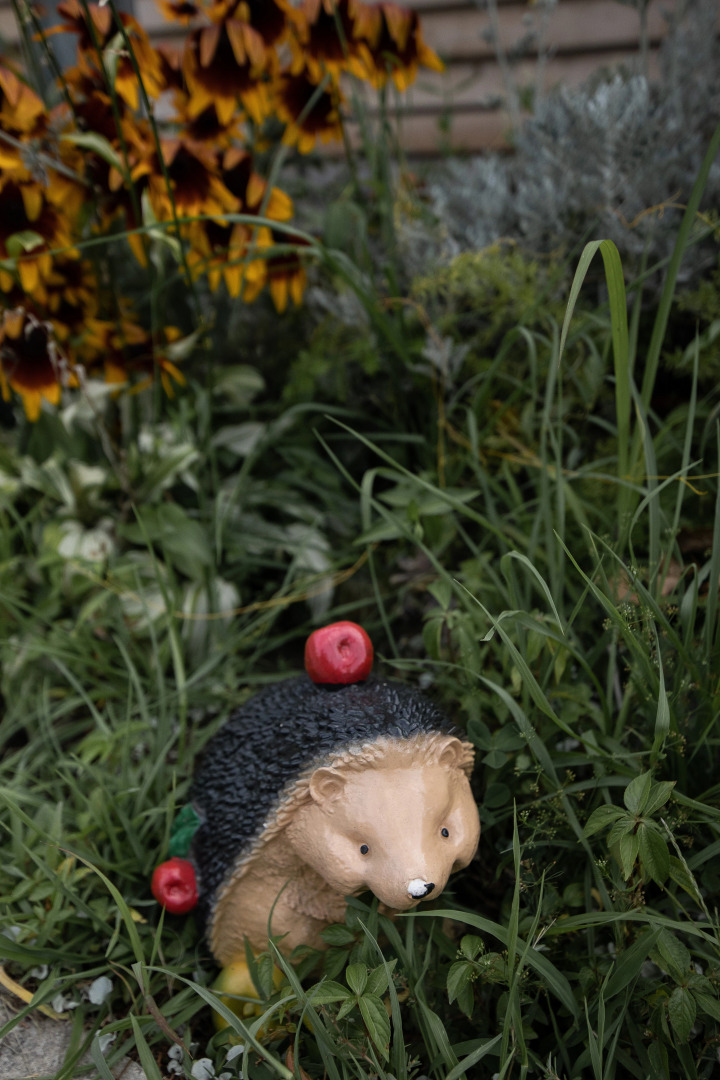 Отель At The Sea