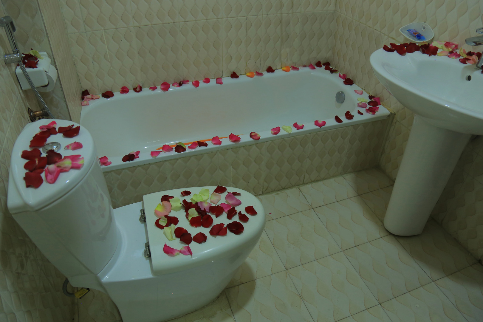 Гостевой Дом Avi Pension