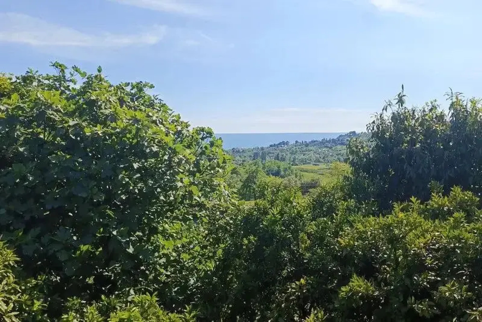 Гостевой дом Отдых у Ашота и Джульетты