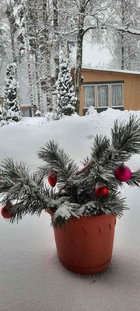 Частный дом в Вязах 2