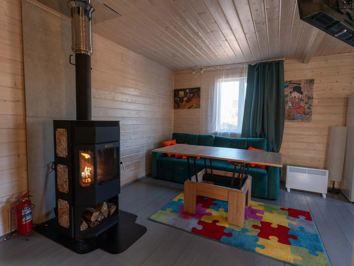 Частный Дом Утиная История