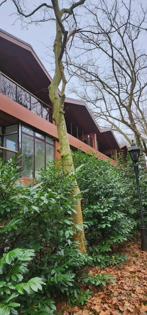 Отель Жемчужина Кавказа