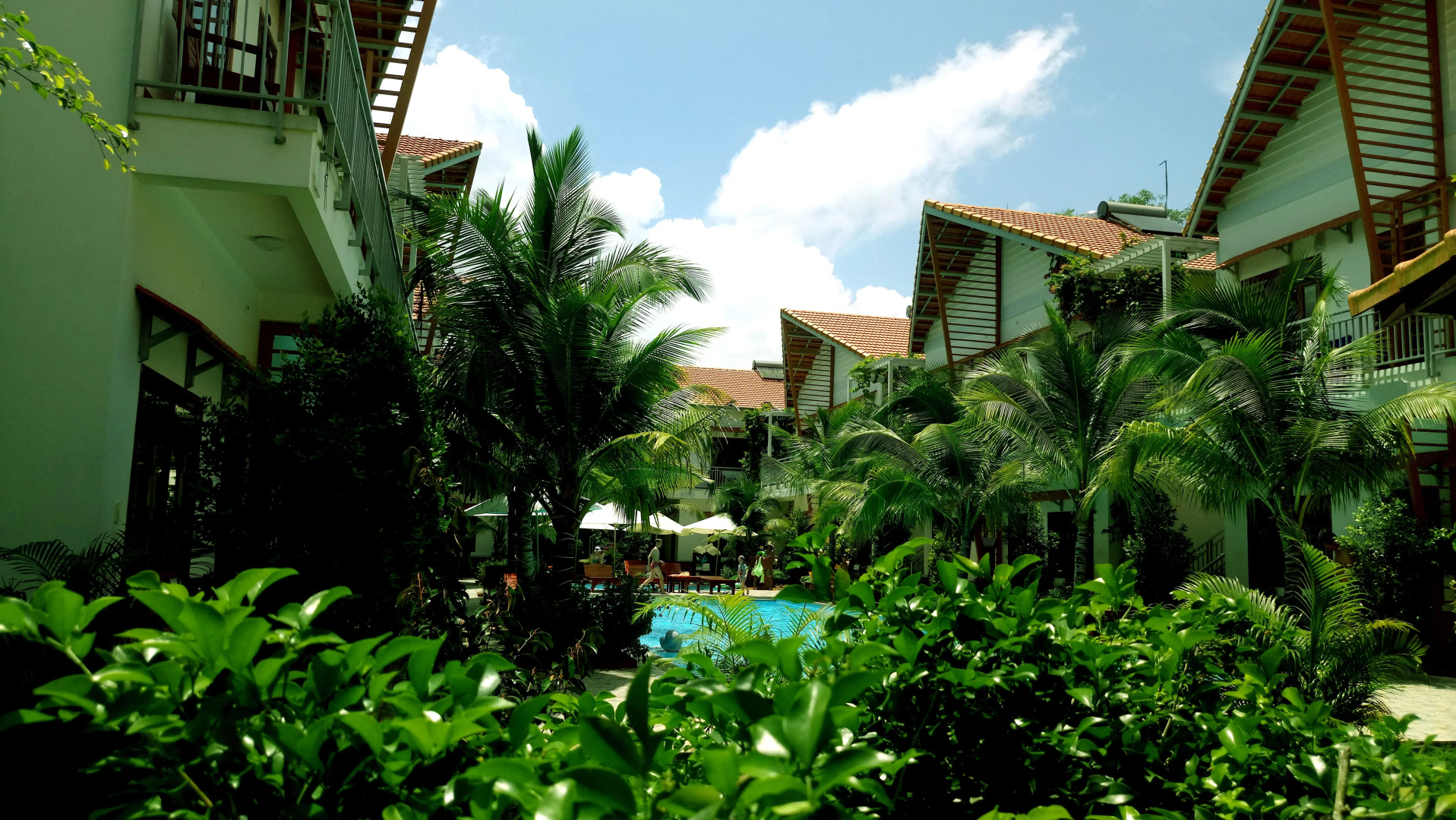 Отель Camellia Resort & Spa