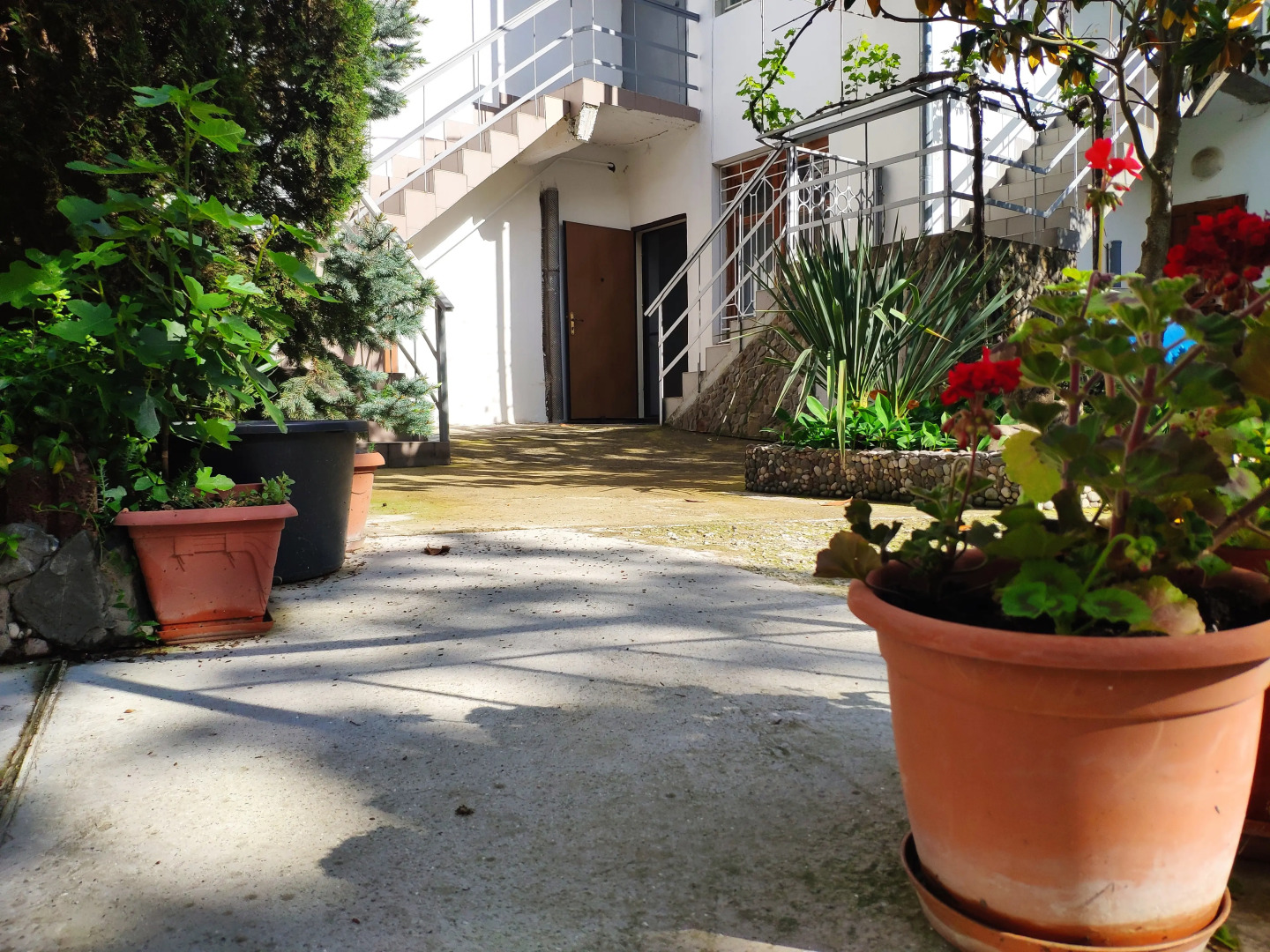 Квартира Синяя птица на берегу моря