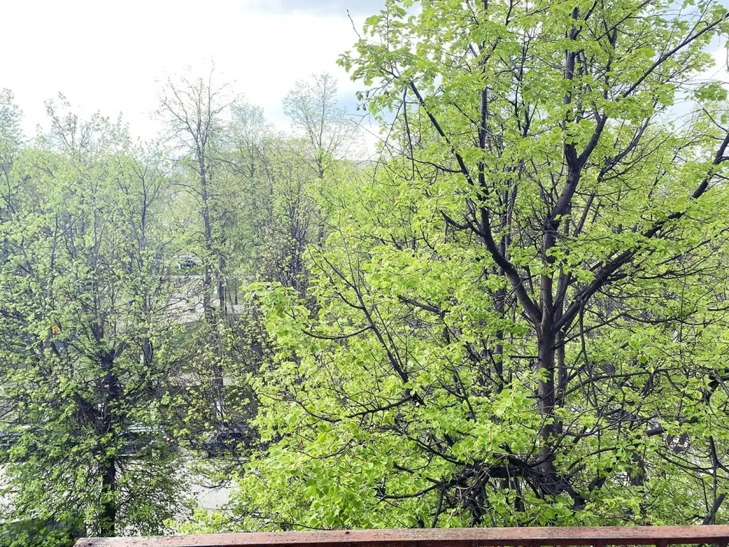 Апартаменты  850 летия 1/46 Студия 3