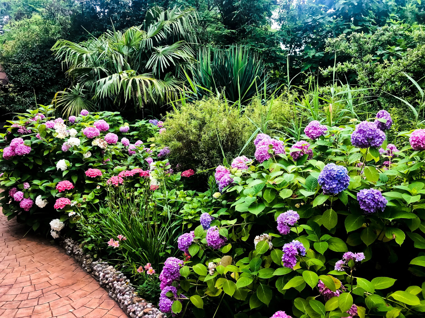 Отель Ламоре