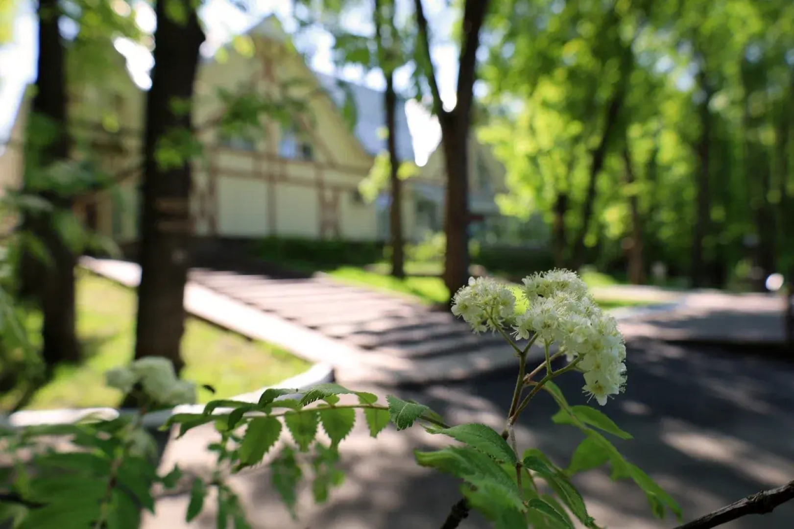 Отель Дубрава