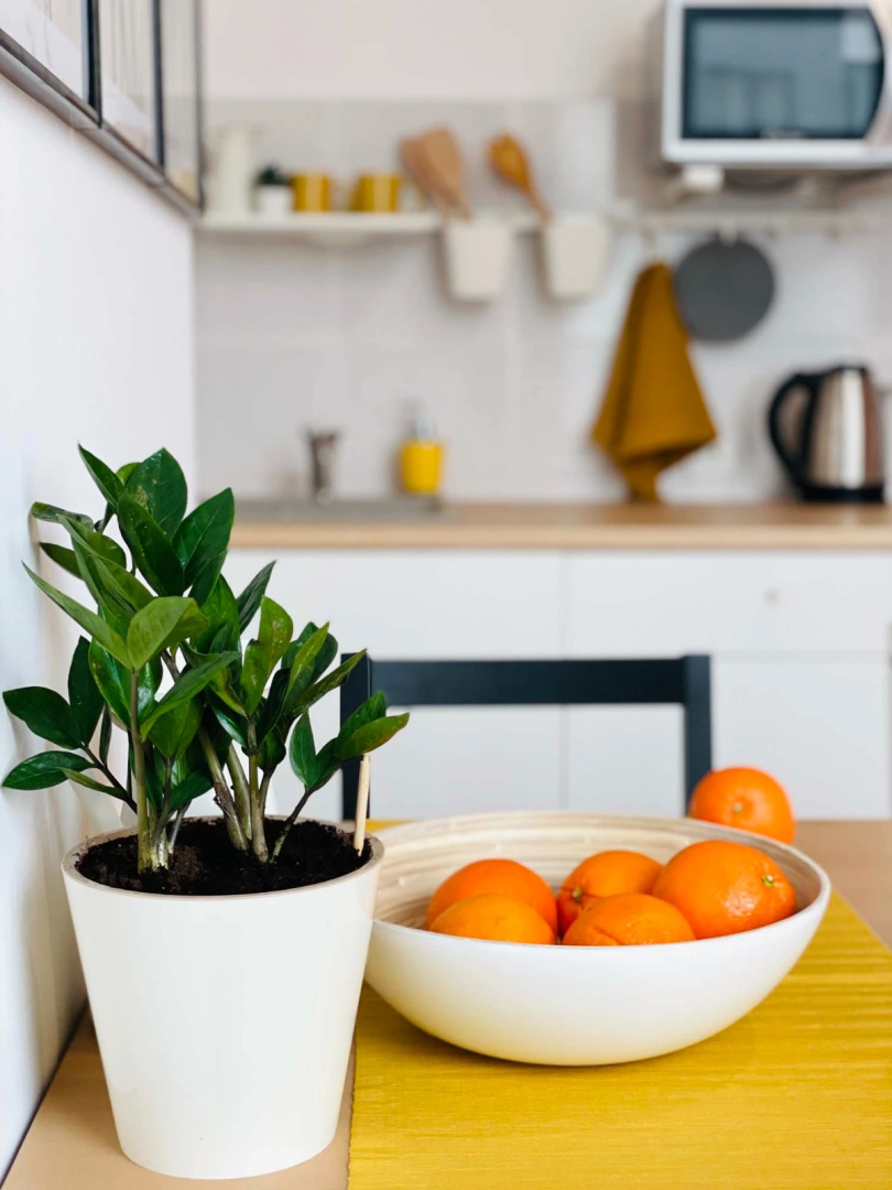 Апартаменты  Буденного 51к6 8-1