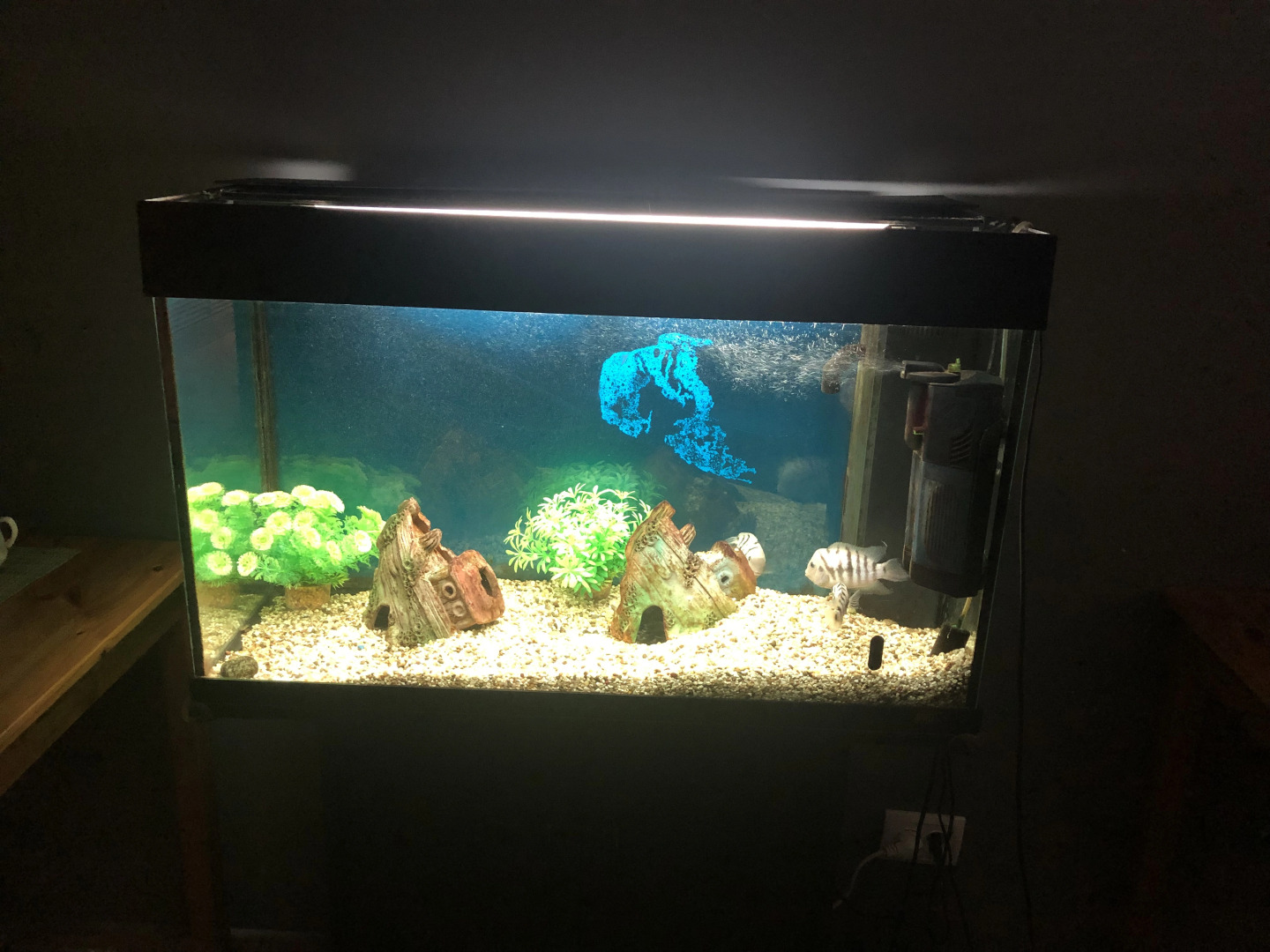 Хостел Олимпия