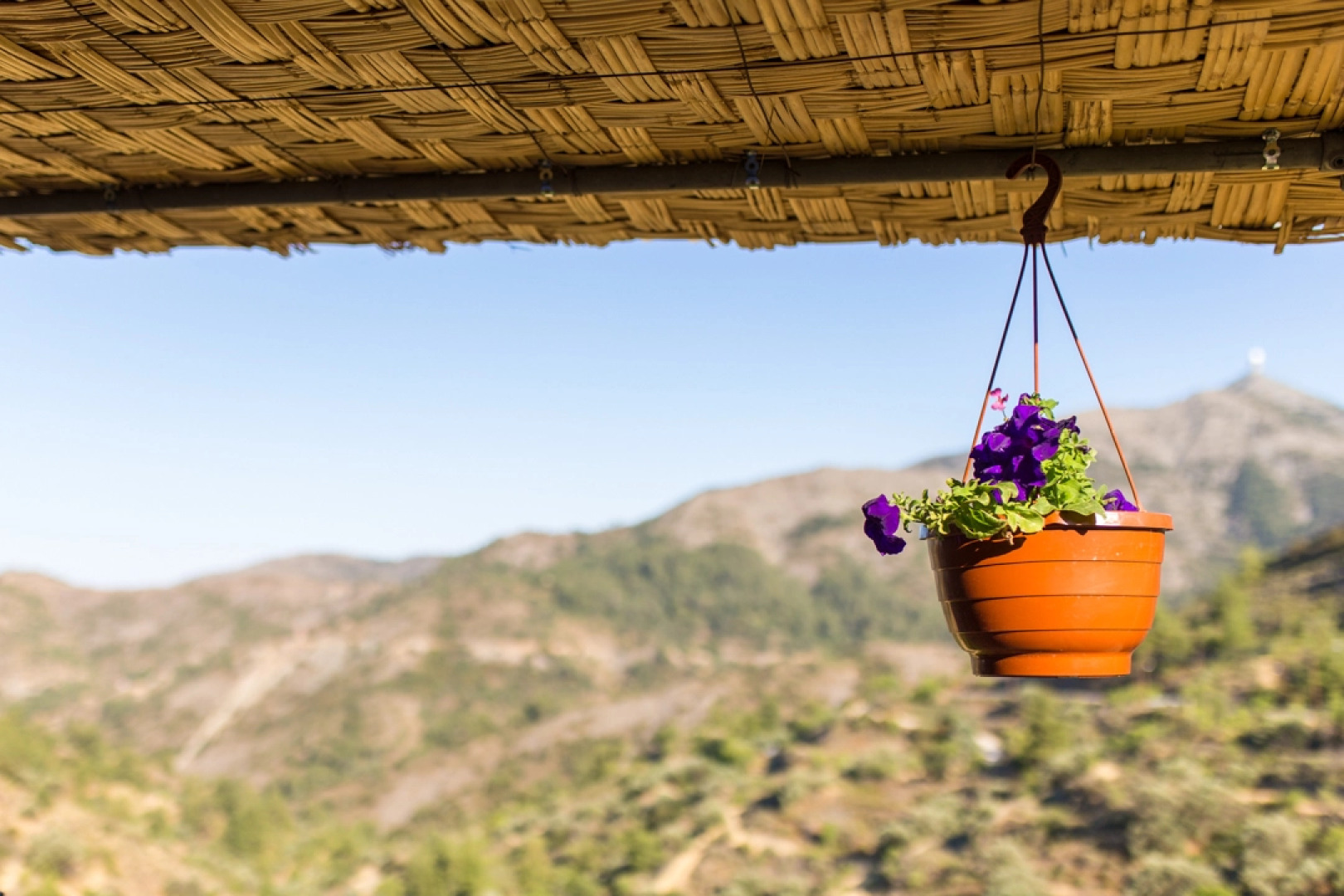 Мини-Отель Hadjikyprianou Museum Studio