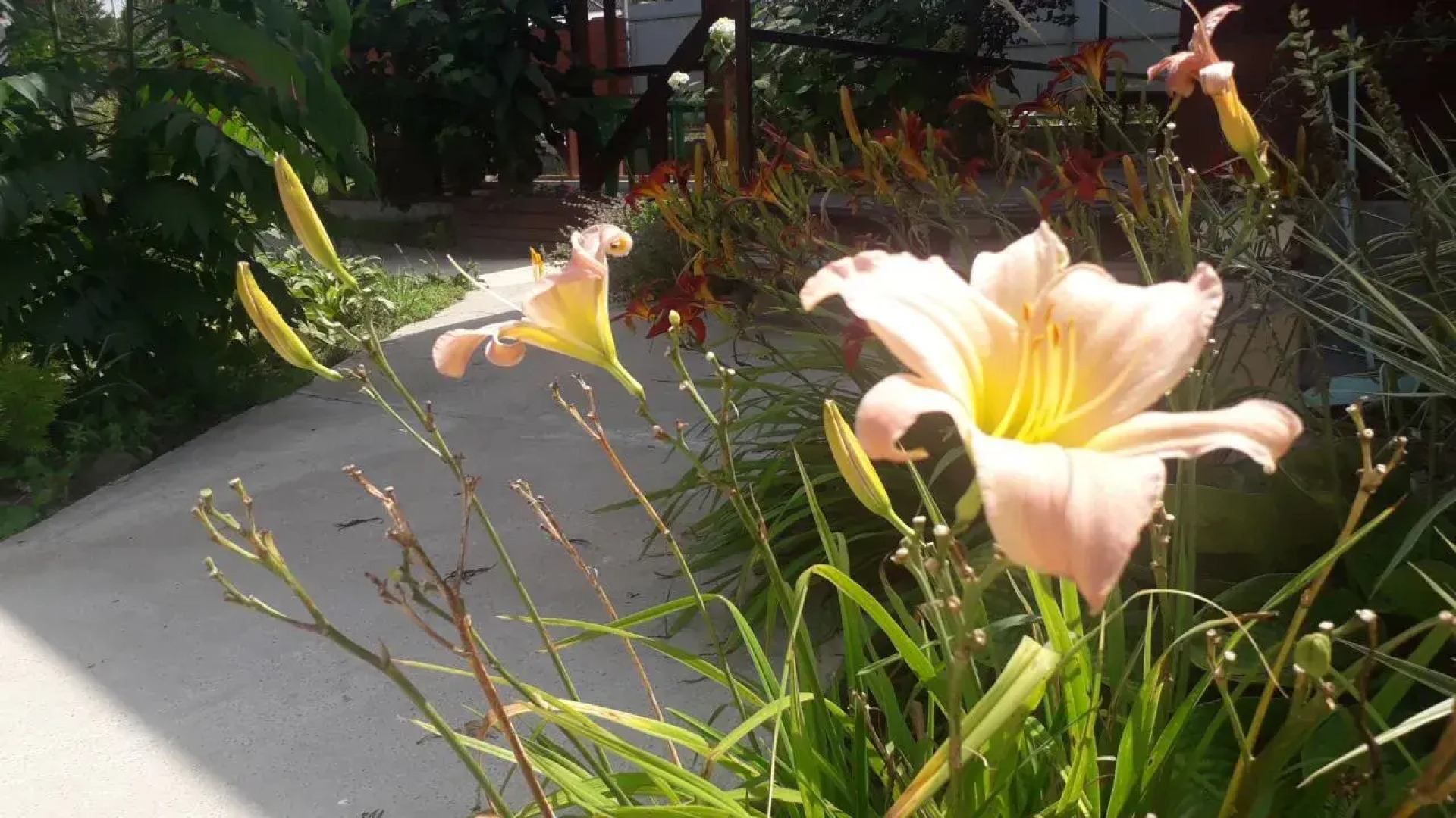 Частный дом Feel House