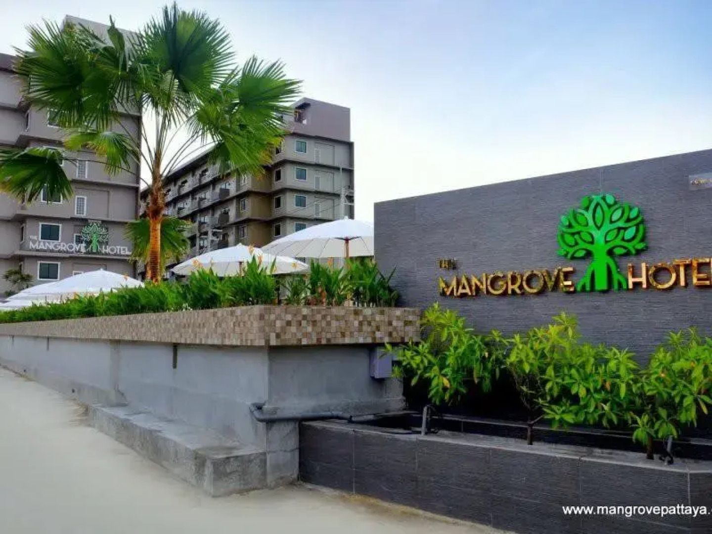 Отель The Mangrove