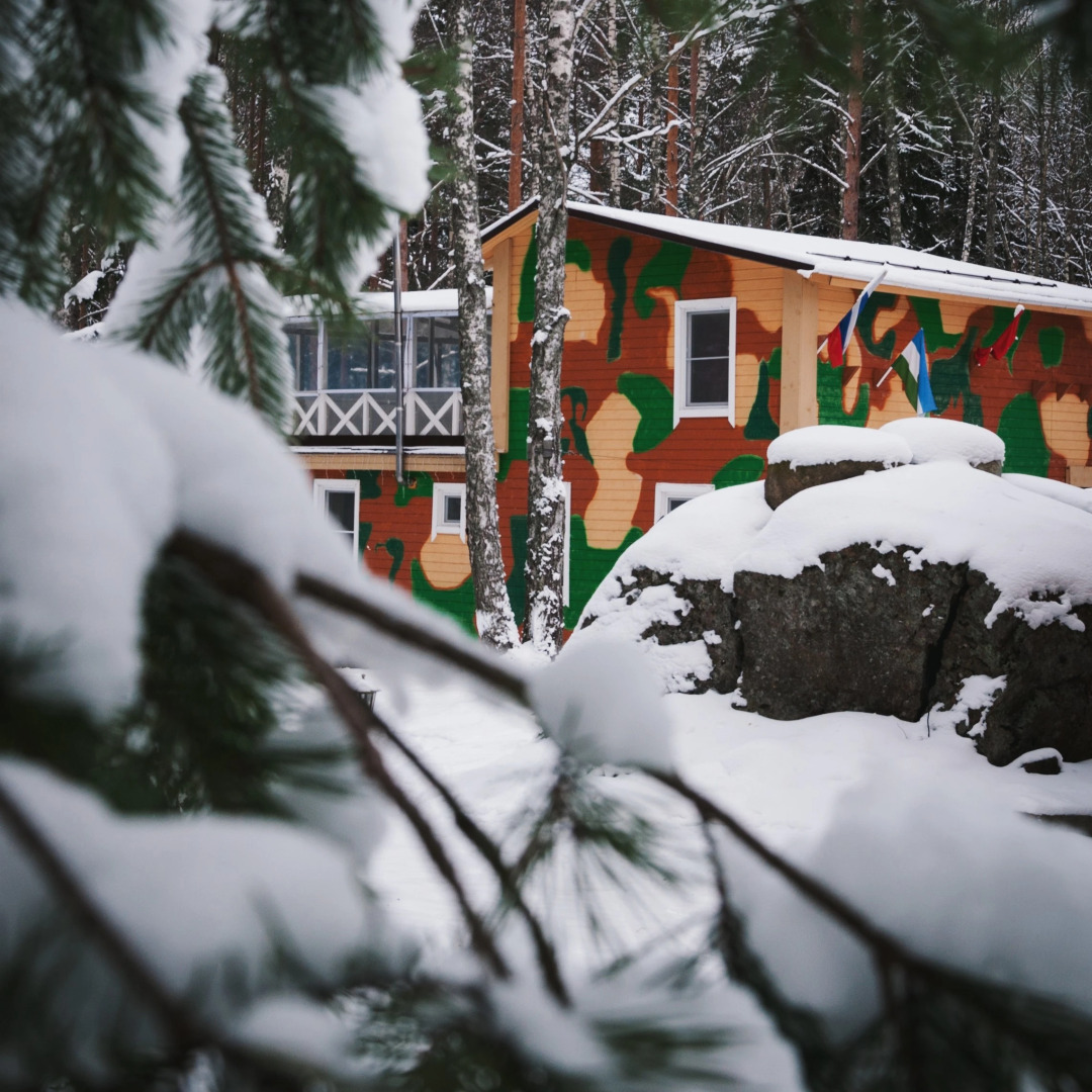 Частный дом BlackFox