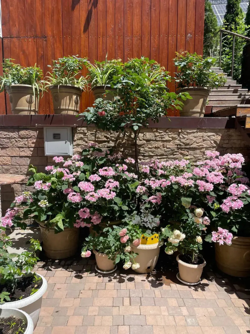 Гостевой дом Розмарин