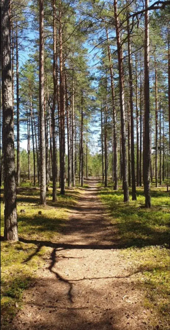 Гостевой дом Ладожский берег