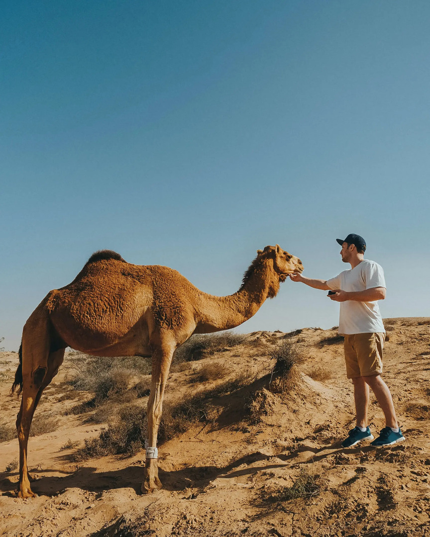 Кемпинг Aroma Desert Safari