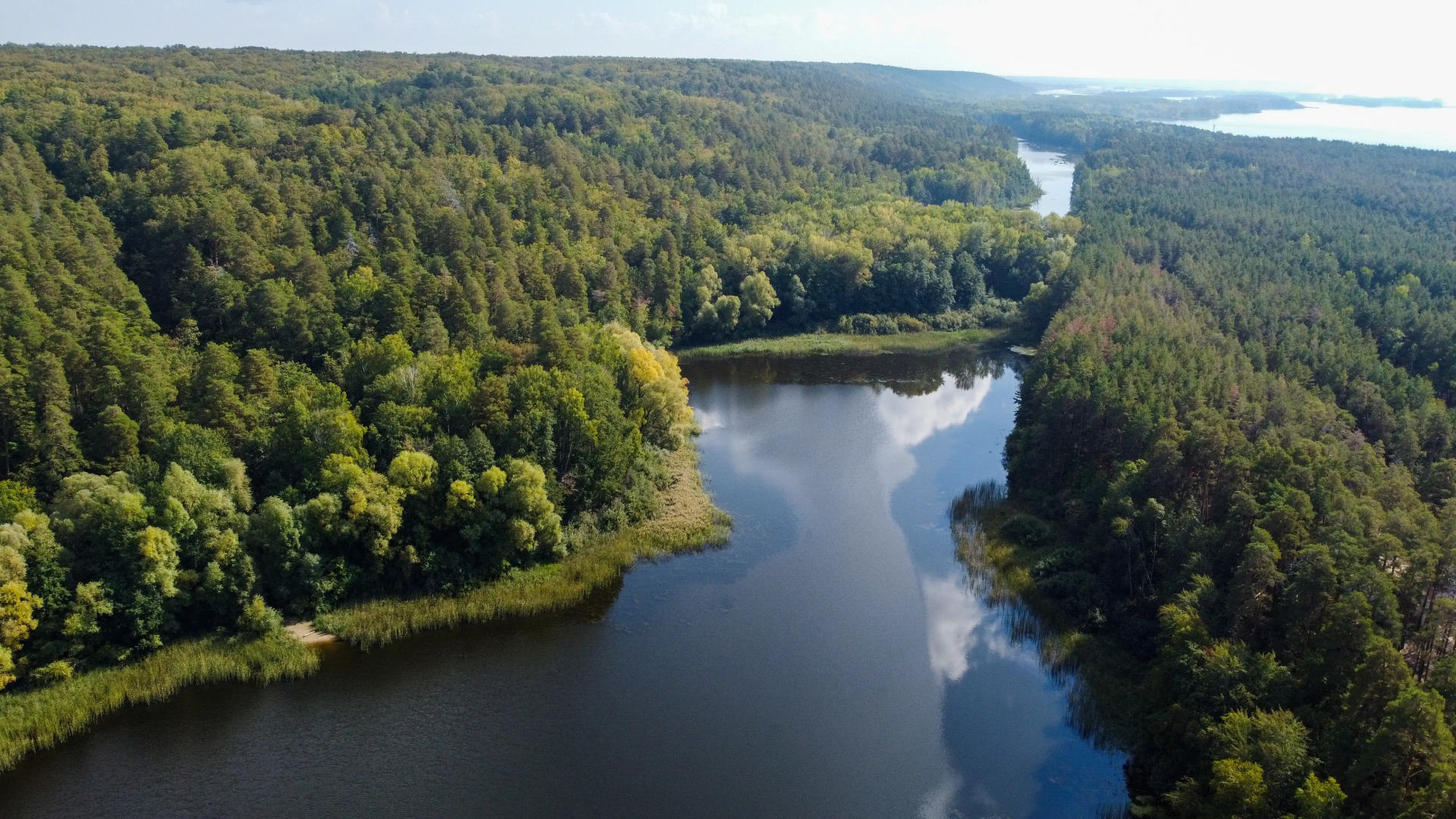 Частный Дом Уютный Однокомнатный на Природе