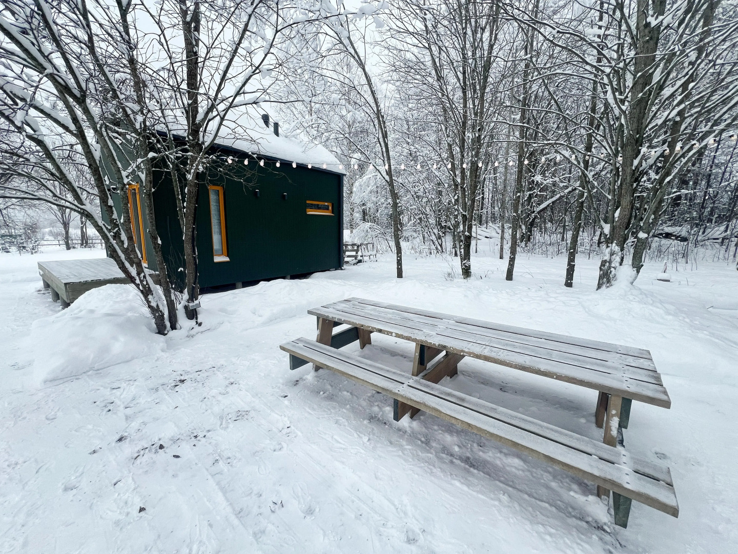 Гостевой дом Домики в поле