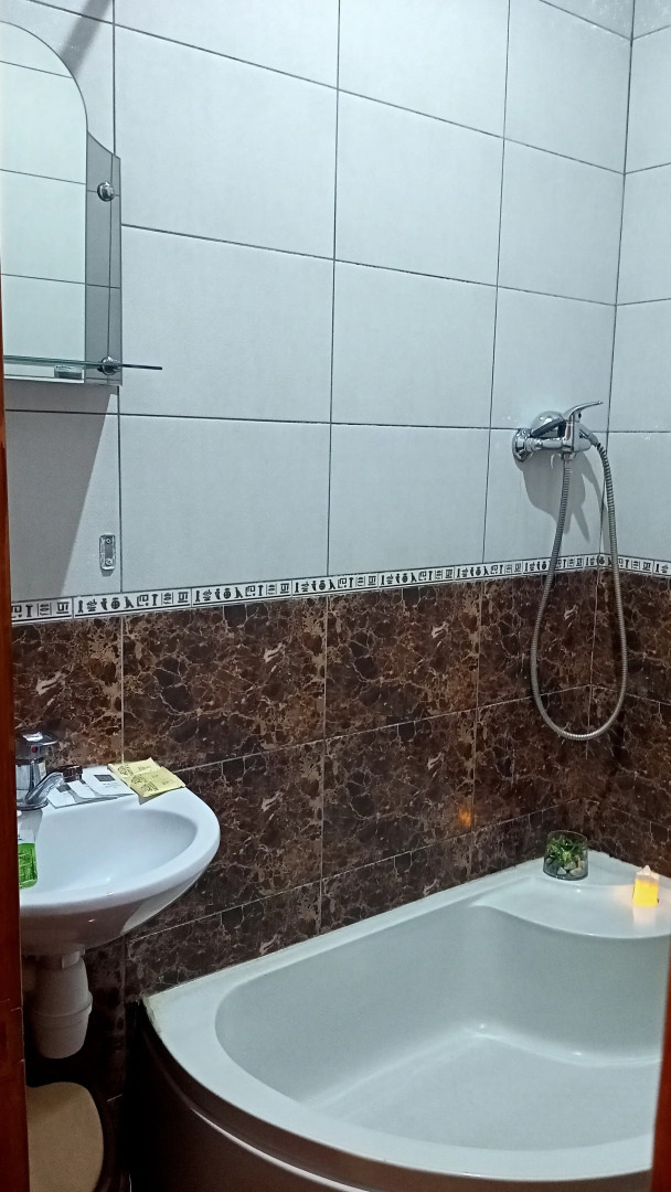 Квартира  на Берегу Озера с Лебедями