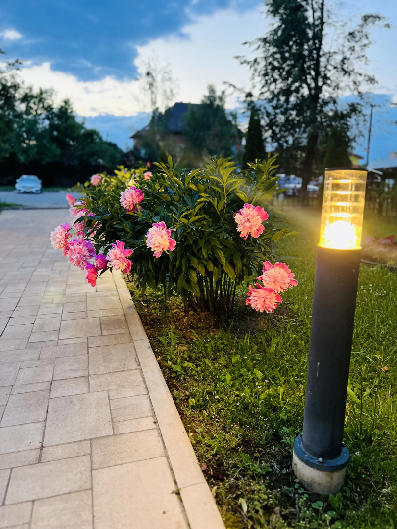 Гостевой дом Мон Плезир Химки