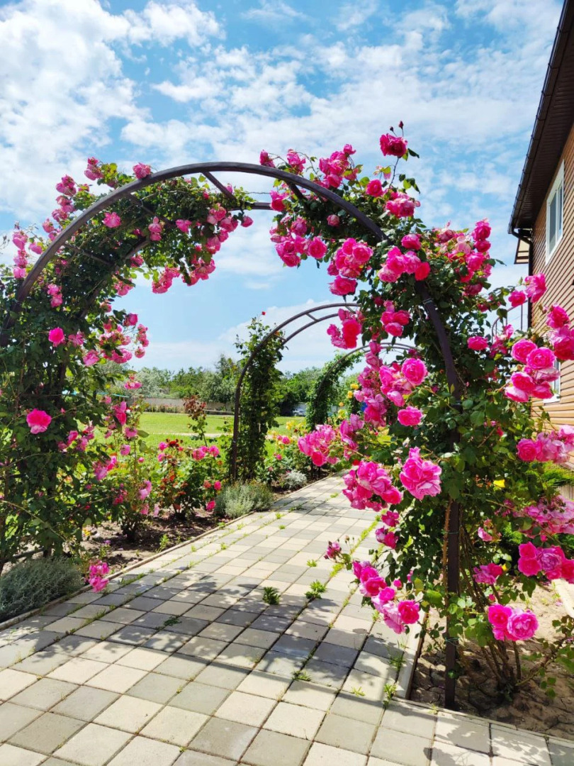 База отдыха Надежда