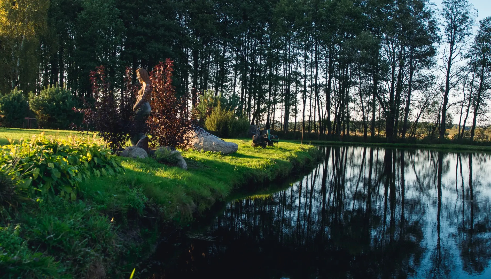Гостевой дом Мечта в Беловежской Пуще