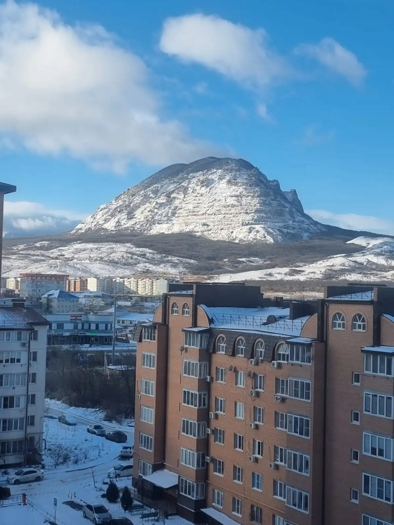 Квартира Olive 1-комнатная