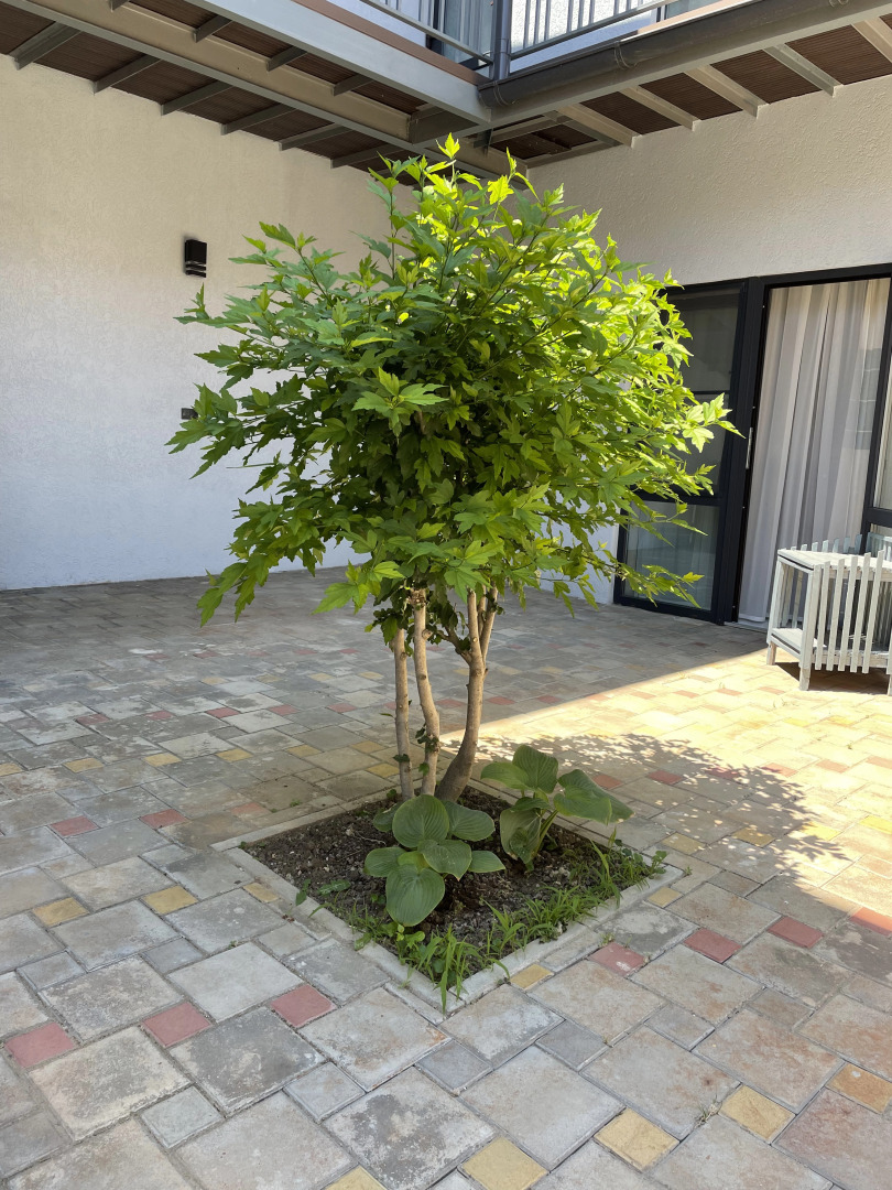 Гостевой дом Солнце