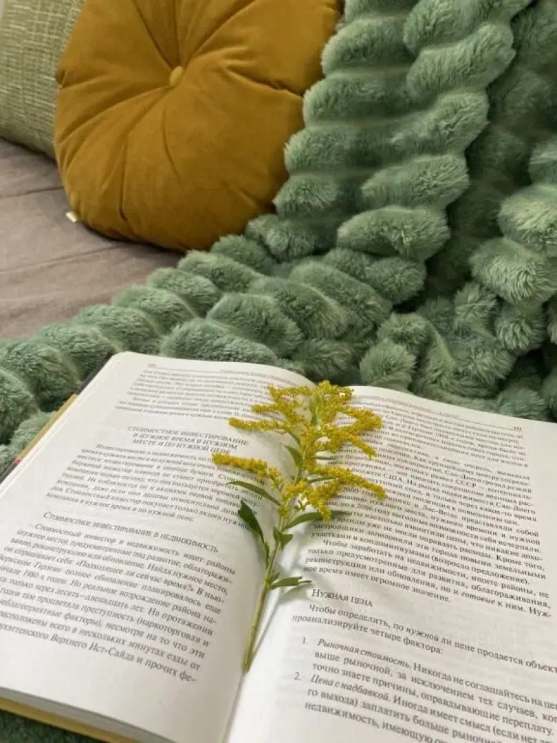 Квартира Пушкинский 1