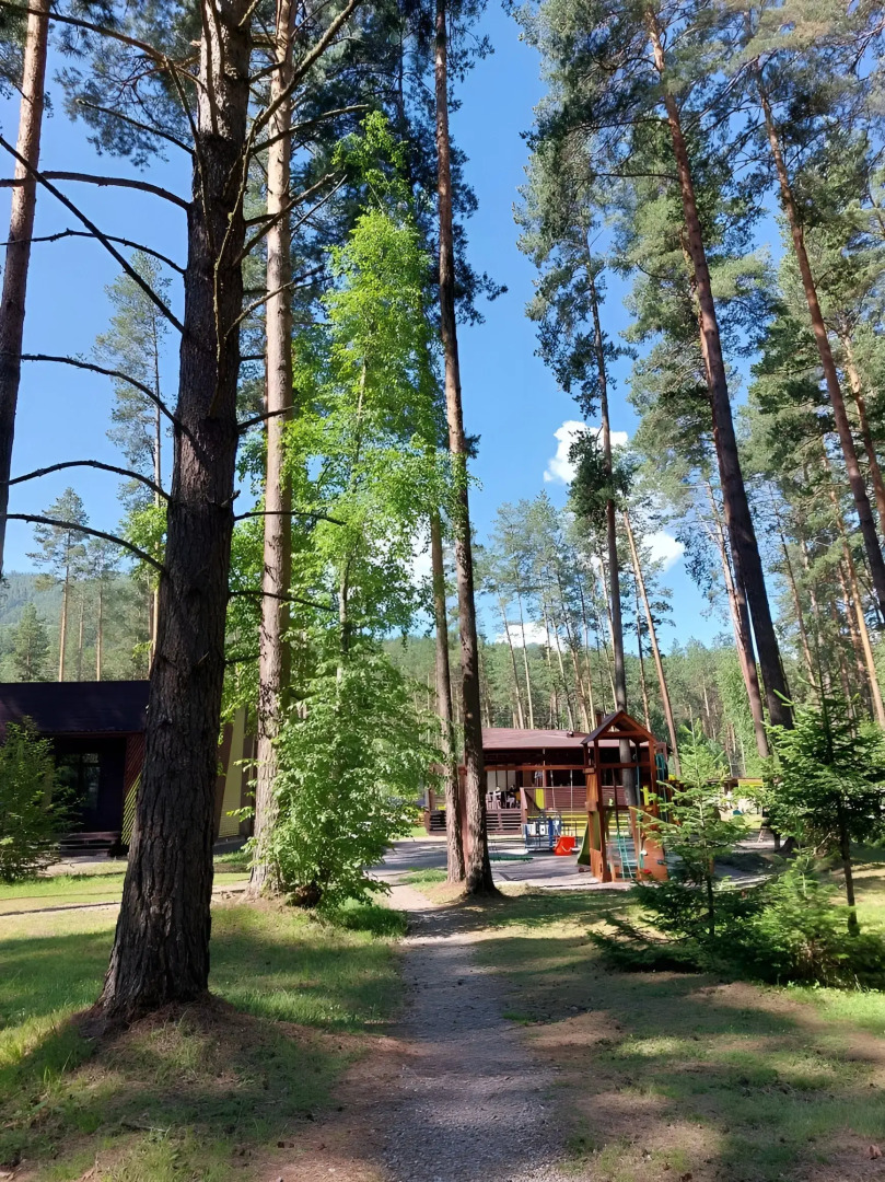 Wood Park (ex. Shishka Hotel)