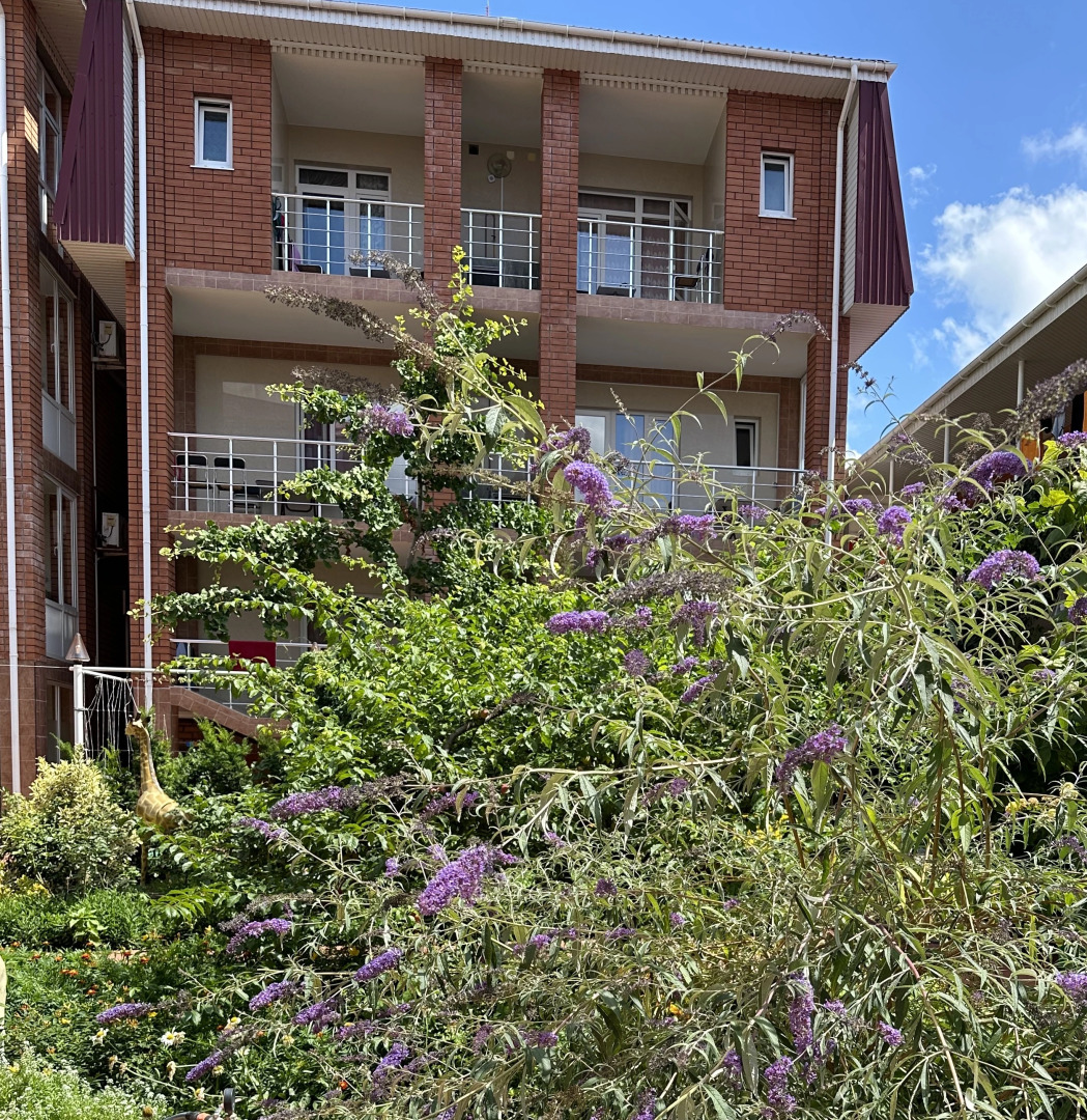 Гостевой Дом Отдых у Александра