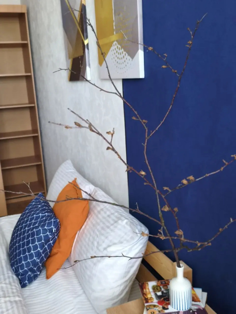 Квартира Трехкомнатная в этно стиле